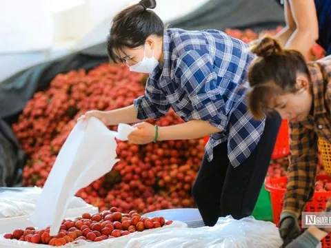 Nông nghiệp cần làm gì sau "giấc mơ xưa nay chưa từng có"?