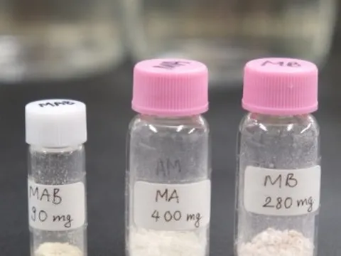 Nhà khoa học Việt Nam phát hiện chất chống ung thư máu trong lúa, gạo