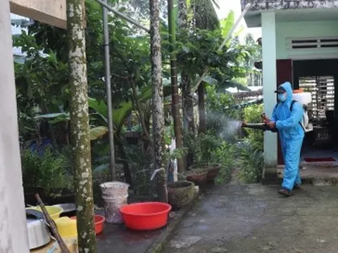 Dịch sốt xuất huyết đe dọa cuộc sống người dân miền núi Quảng Ngãi