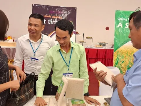 Thông tin bất ngờ về gạo “ngon nhất Việt Nam” năm 2022