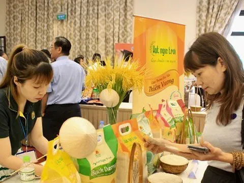 Gạo ST25 mất ngôi số 1 Việt Nam