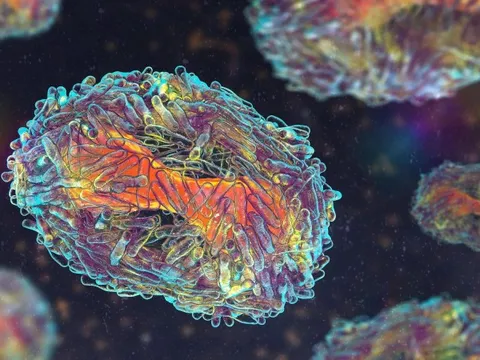 Một dịch bệnh khác lan toàn cầu theo đúng cách “hiểm hóc” của COVID-19