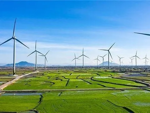 Top 3 công ty sản xuất điện gió nhiều nhất ở Việt Nam hiện nay là những ai?