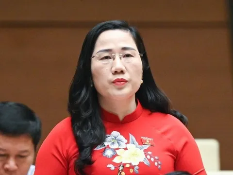 ĐBQH vạch trần “vở kịch” quân xanh, quân đỏ trong đấu thầu  