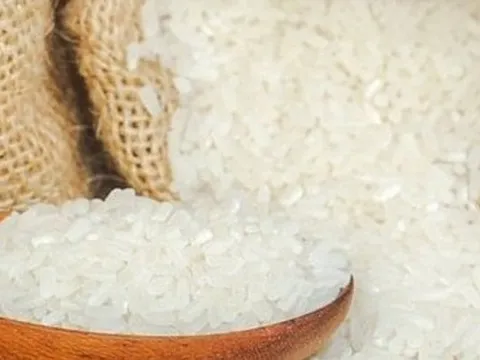 Loại gạo vừa soán ngôi ST25 giành giải gạo ngon nhất Việt Nam có gì đặc biệt?