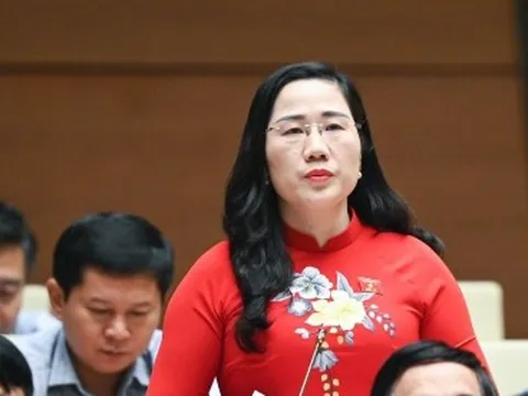 "Một số nhà thầu chuyên đi dự thầu chỉ để trượt, "lót đường" cho nhà thầu trúng sẵn"