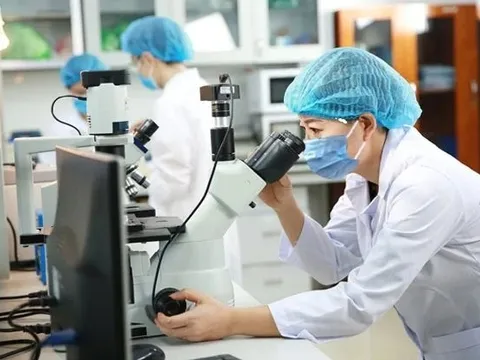 Hướng dẫn mới về thuế liên quan đến Quỹ phát triển khoa học và công nghệ của doanh nghiệp