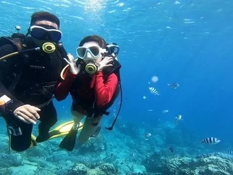 Khánh Hòa ban hành kế hoạch tổng thể phục hồi vịnh Nha Trang