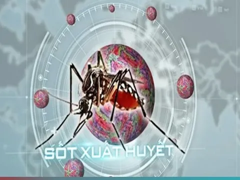 Cả nước đã có 112 ca tử vong do sốt xuất huyết