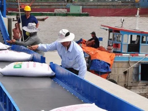 Gạo Việt xác lập vị thế mới