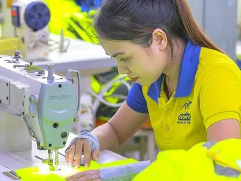 Đề xuất chỉ được rút 8% BHXH một lần: Nhà không có gạo nấu mà phải bỏ ống heo