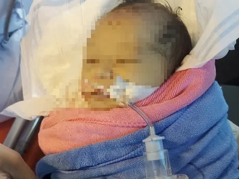 Công an truy tìm thân nhân cháu bé bị bỏ rơi giữa rừng