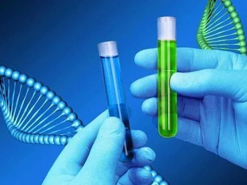 BV Phụ sản HN công bố ca song thai cùng trứng cực kỳ đặc biệt, thế giới mới có 1 ca