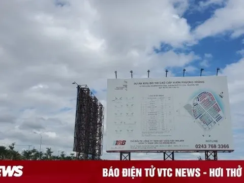 Dự án nghìn tỷ Vườn Phượng Hoàng tại Phú Yên thành bãi chăn bò, nuôi vịt