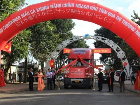 Xuất khẩu chuyến hàng mắc ca chính ngạch đầu tiên qua Nhật Bản