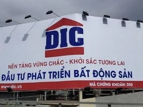 Lí do gì khiến cổ phiếu DIG chìm trong sắc xanh lơ