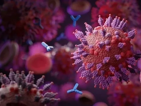 Nghiên cứu về tái nhiễm: Tin vui lớn cho các "cựu F0" Omicron