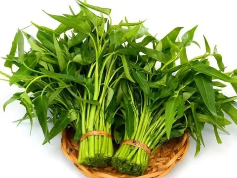 Dấu hiệu cho thấy rau muống có thuốc trừ sâu, cần lưu ý