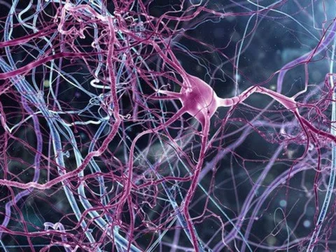 Phương pháp điều trị mới giúp cả 9 người bại liệt đều đi lại được