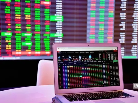 Cổ phiếu nằm sàn la liệt, các doanh nghiệp giải trình như nào?