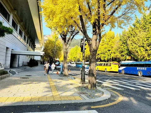 Khách Việt nhộn nhịp đi du lịch Hàn Quốc, Nhật Bản