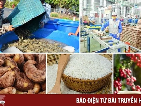 Nông sản “chạy đua” lập kỷ lục 55 tỷ USD xuất khẩu
