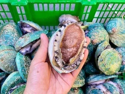 Món ăn chỉ dành cho nhà giàu, nay giảm giá mạnh nhiều người được ăn sang