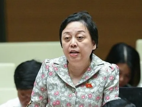 “Nếu sợ tiêu cực, sợ người ta ăn cắp thì làm thí điểm và có giám sát"