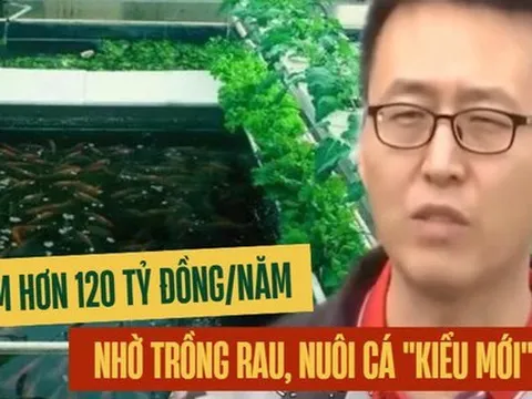 Tạo ra mô hình "nuôi cá không cần thay nước, trồng rau không cần bón phân"