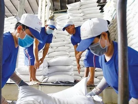 Đơn hàng giảm, xuất khẩu gạo trở thành điểm sáng