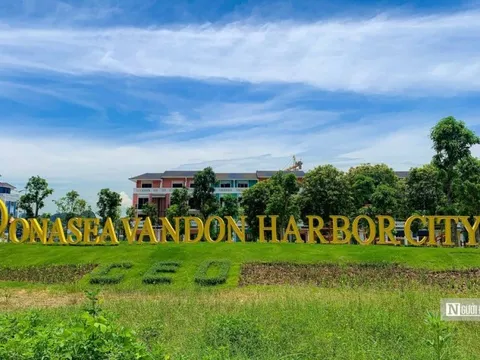 CEO Group lên tiếng về việc bị thu hồi dự án Sonasea Vân Đồn hơn 78 ha