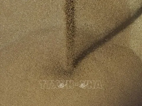 Mỹ và EU cam kết tạo điều kiện cho xuất khẩu ngũ cốc, phân bón của Nga