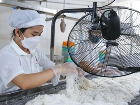 Linh hoạt chống lạm phát và nguy cơ suy thoái (*): Tối ưu hóa sản xuất, tránh đầu tư dàn trải