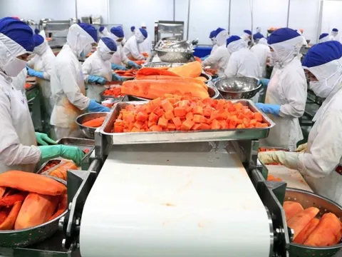 "Nữ hoàng cá tra" Vĩnh Hoàn góp thêm hơn 150 tỷ đồng vào công ty sản xuất nước ép