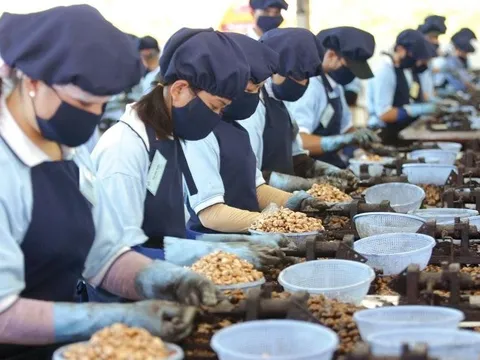 Thúc đẩy doanh nghiệp tham gia trực tiếp các mạng phân phối nước ngoài