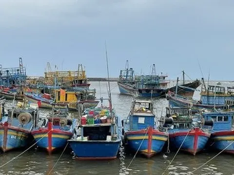 Gần 700 tàu cá của ngư dân Bà Rịa - Vũng Tàu nằm bờ do giá dầu tăng