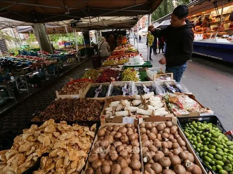 Châu Âu trong 'cơn bão' lạm phát