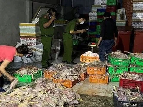 Đồng Nai: Mua gà chết giá 4.000đ/kg “hô biến” thành gà sạch