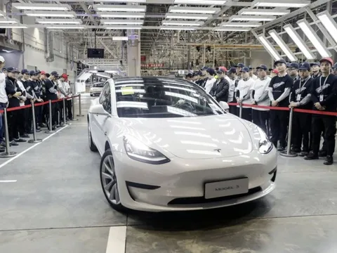 Elon Musk phủ nhận cáo buộc về việc Tesla nhập khẩu ngược xe điện từ Trung Quốc