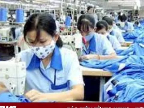 Chuyên gia: Kinh tế hồi phục mạnh, doanh nghiệp vẫn gặp khó