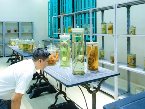 Cận cảnh phòng giải phẫu xác người của Trường Đại học Y Hà Nội