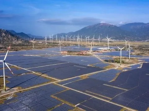 Phát triển năng lượng tái tạo thông qua đấu thầu: Kinh nghiệm quốc tế