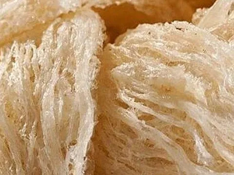 Cơ hội rộng mở cho xuất khẩu tổ yến của Việt Nam