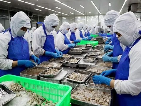 Tham gia sâu hơn vào chuỗi giá trị toàn cầu