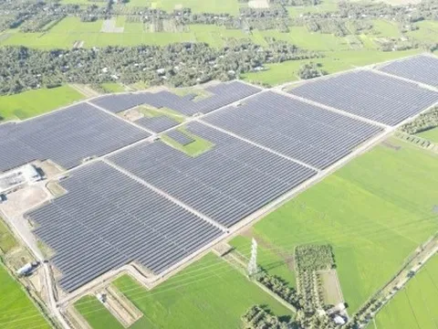 Mục tiêu Net Zero của Việt Nam: Chuyển từ tham vọng sang hành động