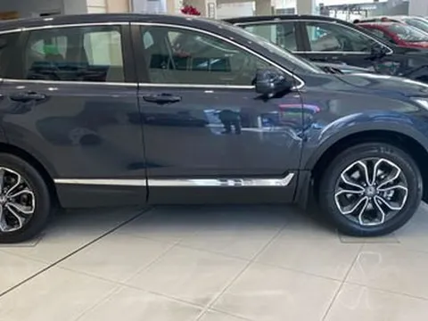 Bất ngờ sức mua ôtô dịp cuối năm