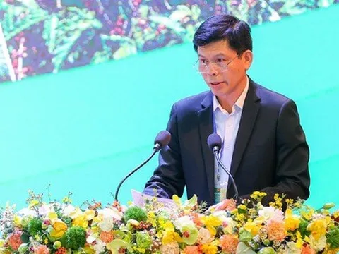 Các tuyến cao tốc liên kết vùng sẽ 'đánh thức' một Tây Nguyên trù phú