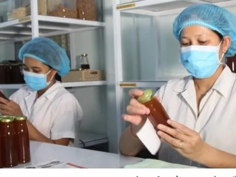 Phát triển kinh tế tuần hoàn từ những việc nhỏ mang lại lợi ích lớn