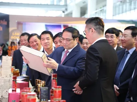 Thủ tướng Chính phủ chủ trì Hội nghị phát triển vùng Tây nguyên