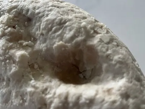 Ngư dân vớt được vật "lạ" nghi là Long diên hương quý hiếm